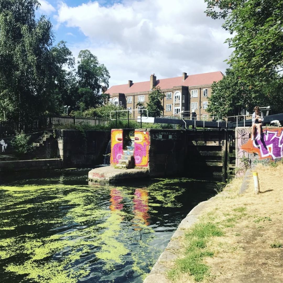 algae filled canal
