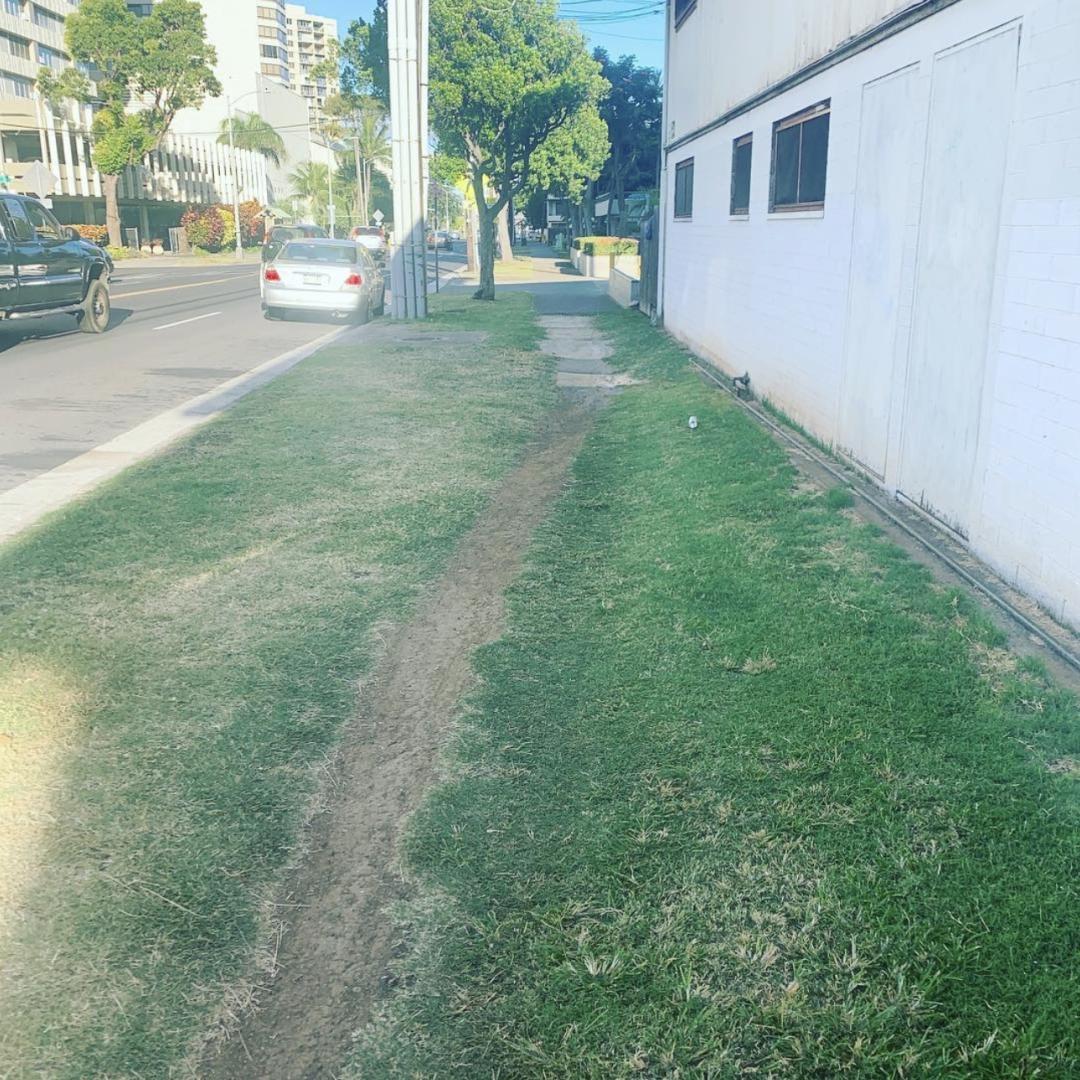 desire path