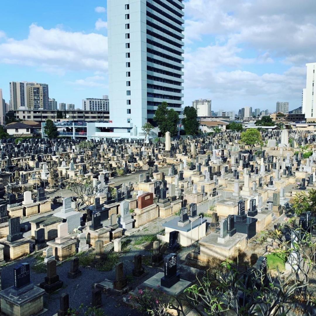 cemetery surrounding skyscraper
