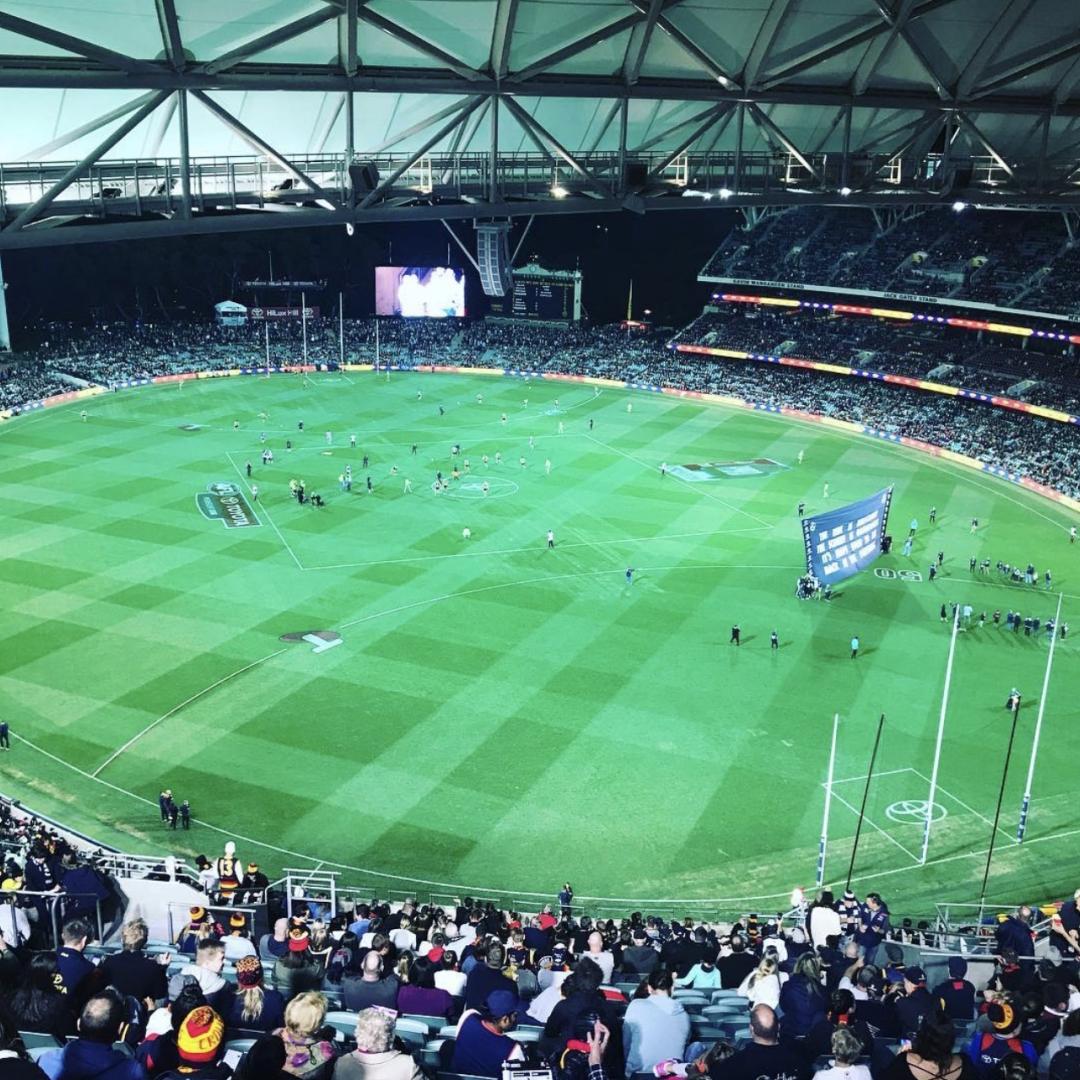 rugby field