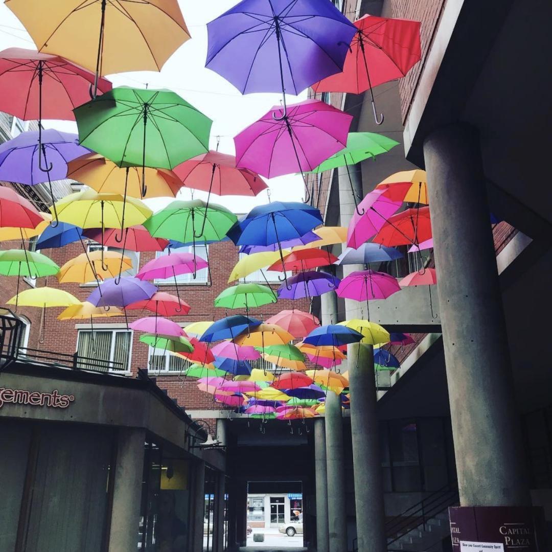 colorful umbrella canopy